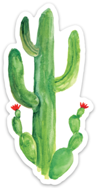Cactus- Sticker